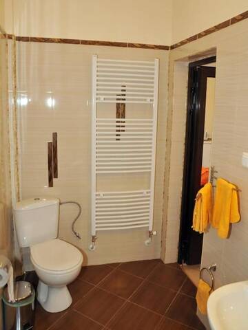 Фото номера Суперлюкс с гидромассажной ванной Гостевой дом Guesthouse Elizabeth г. Самоков 9