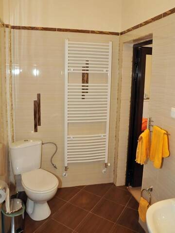 Фото номера Суперлюкс с гидромассажной ванной Гостевой дом Guesthouse Elizabeth г. Самоков 5